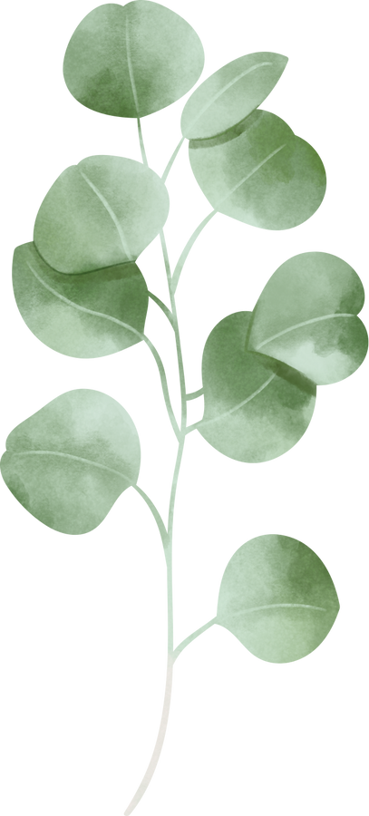Rustic Watercolor Eucalyptus Leaf